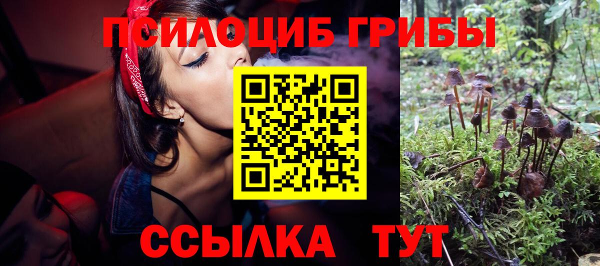 Гуково  Псилоцибиновые грибы Magic Shrooms  Вход с VPN  Псилоцибиновые грибы Psilocybe 